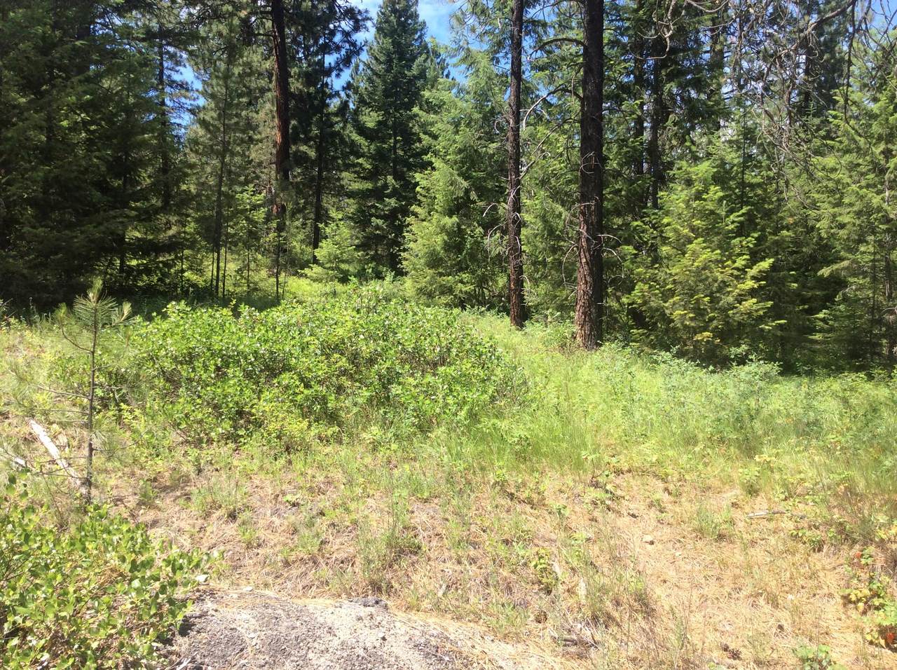 NKA Blanchard-Elk Rd - Photo 1