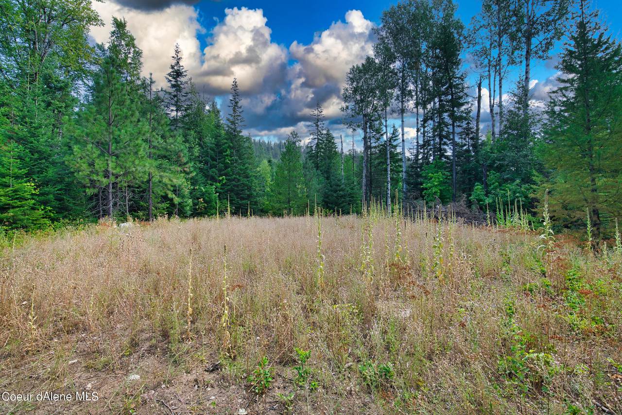 537 Wrenco Rd - Photo 1