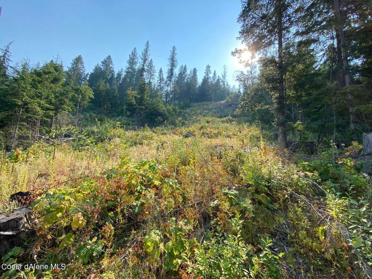 NNA Right Fork Rd - Photo 1