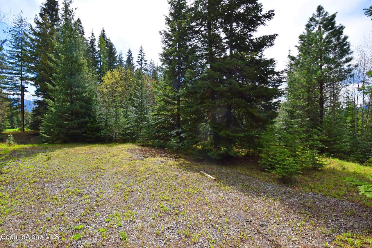 NNA Dunning Rd - Photo 1