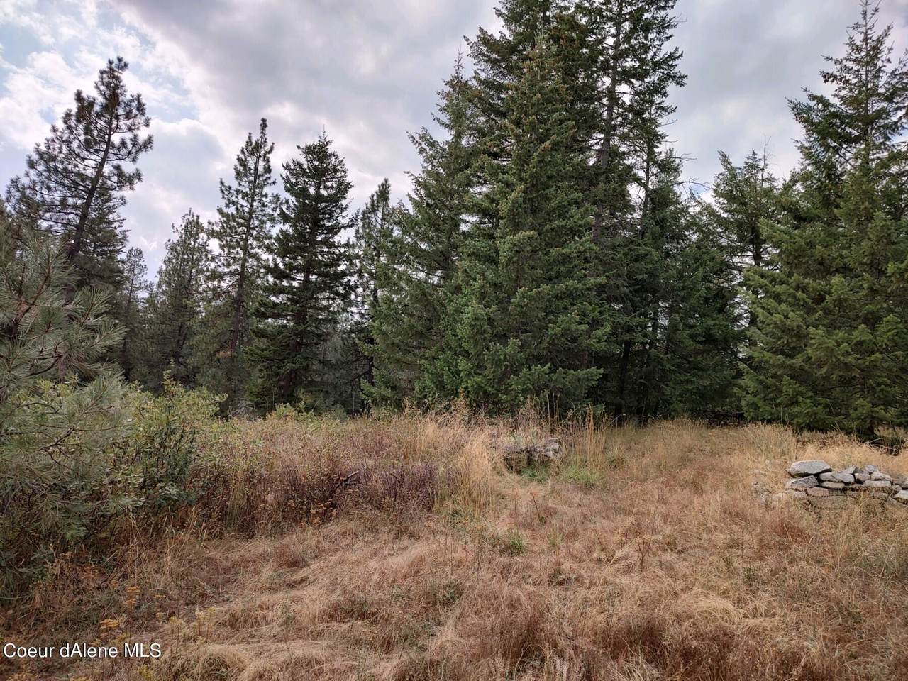 27597 Snickers Ln - Photo 1