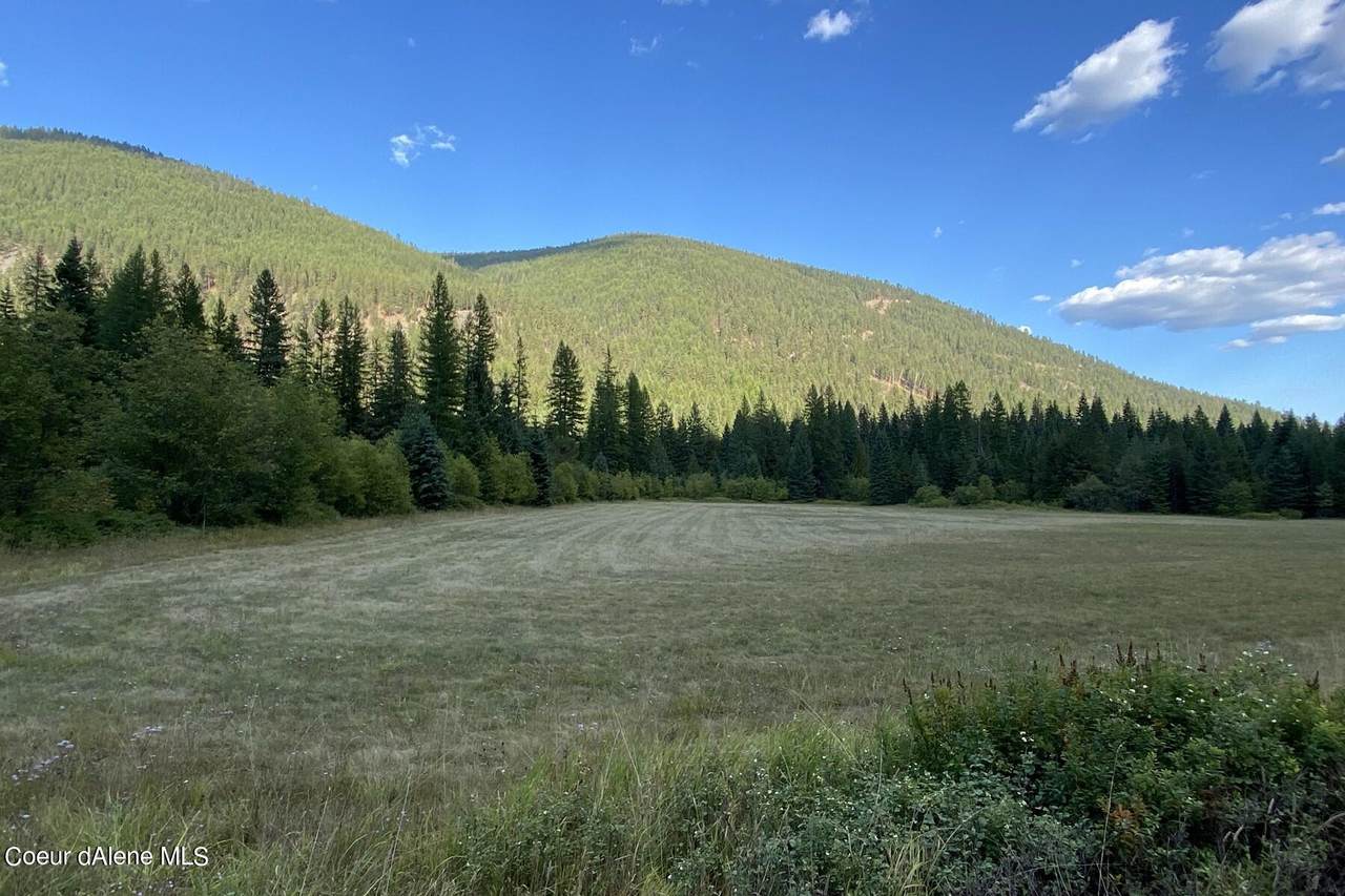 20a Pine Creek (L6) Rd - Photo 1
