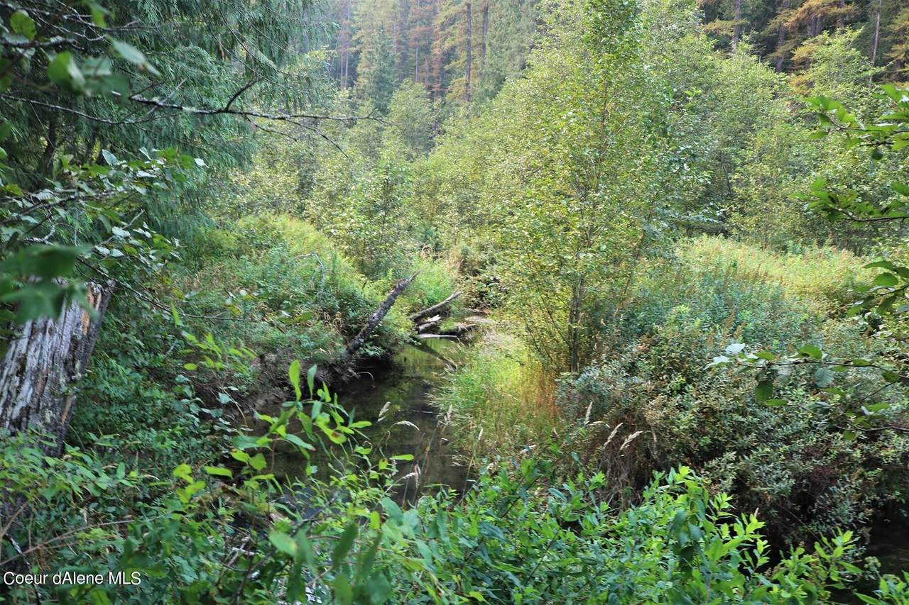 20a Pine Creek (L7) Rd - Photo 1