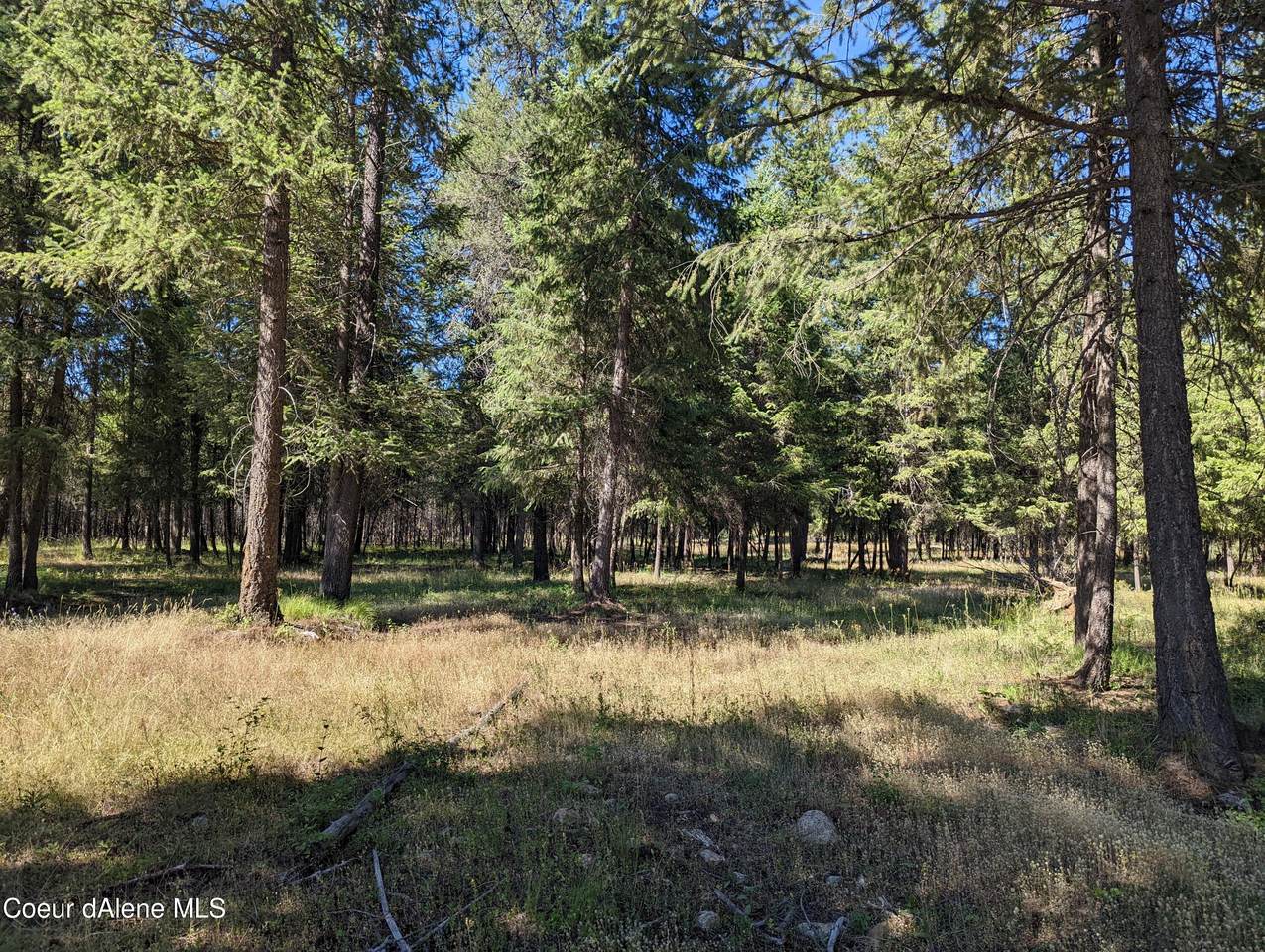 Lot 1 Mohawk Dr Phase 1 - Photo 1