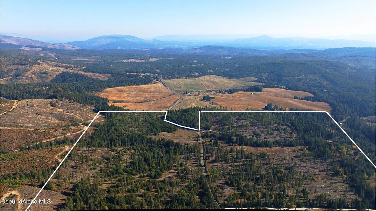 3261 Alder Creek Rd - Photo 1