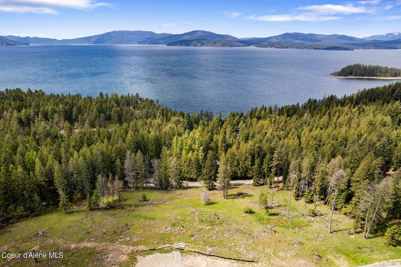 NNA Osprey Circle - Photo 1