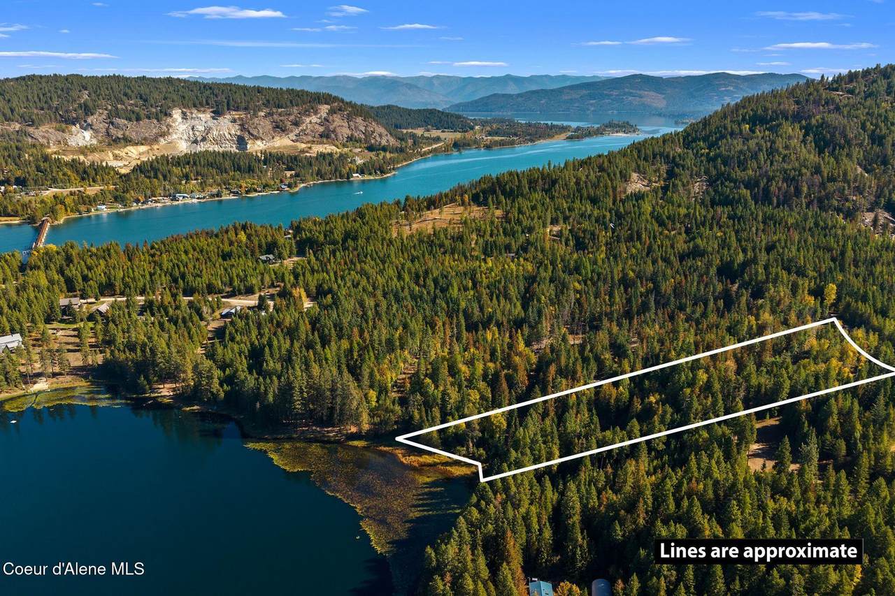 117 Muskrat Pl - Photo 1