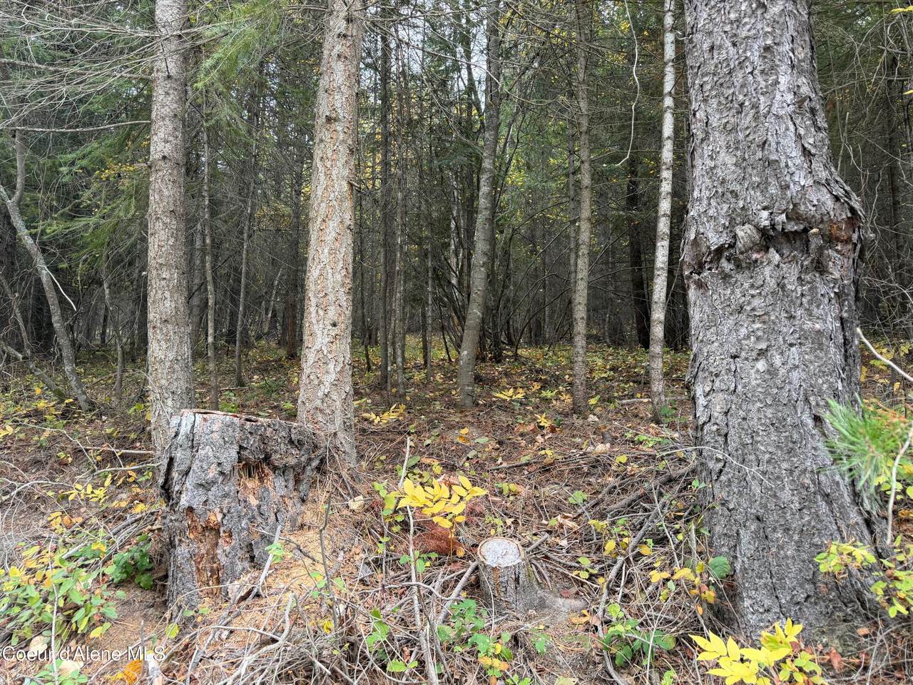 NKA Parker Canyon Road - Photo 1