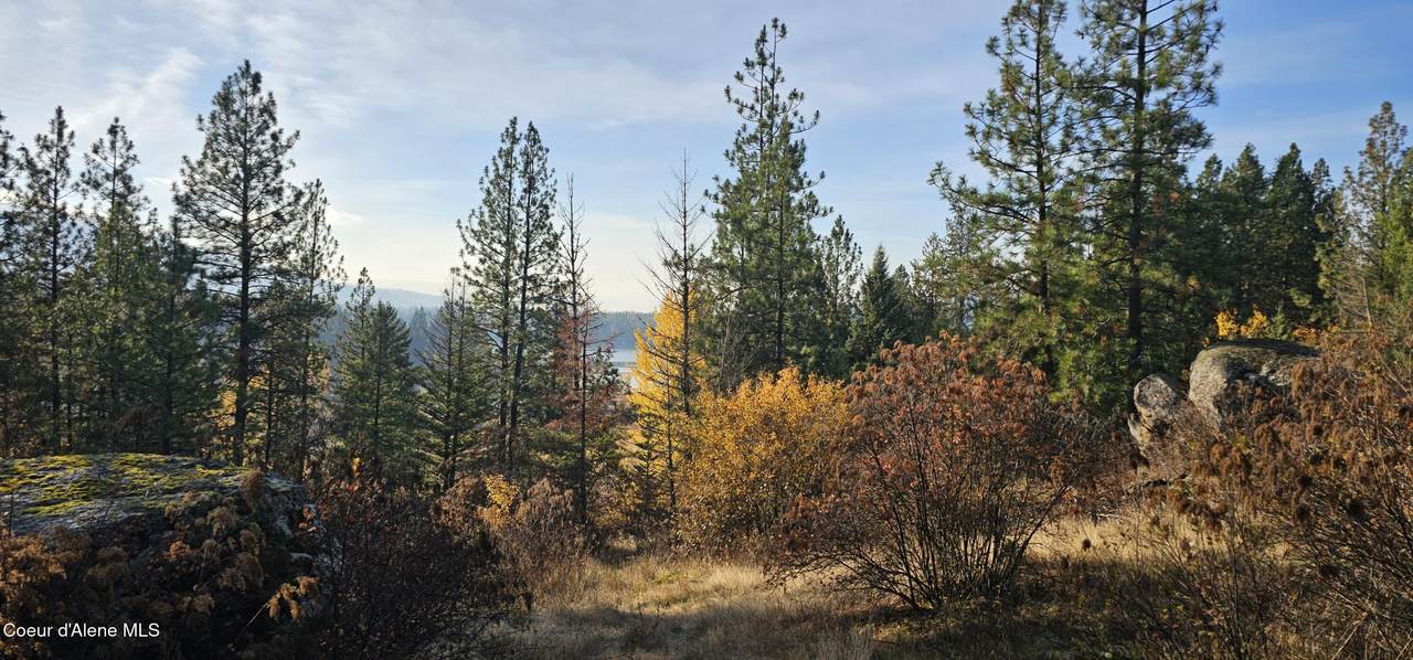 125 Tracker Way - Photo 1