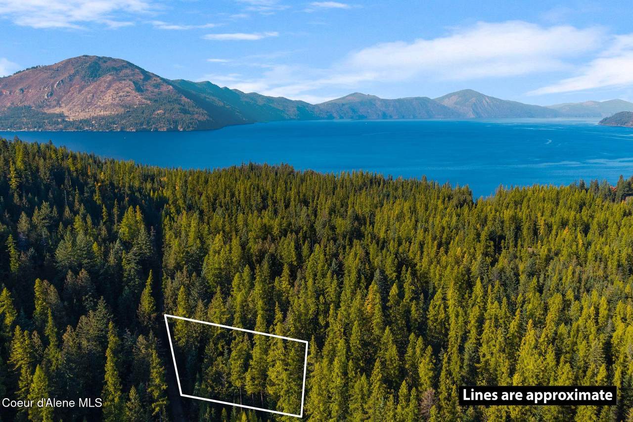 NNA Big Buck Rd - Photo 1