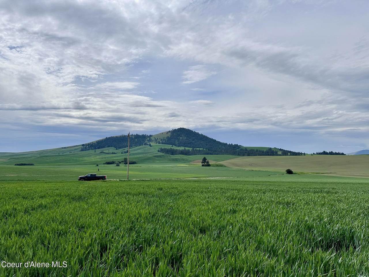 783 Old Mills Rd - Photo 1