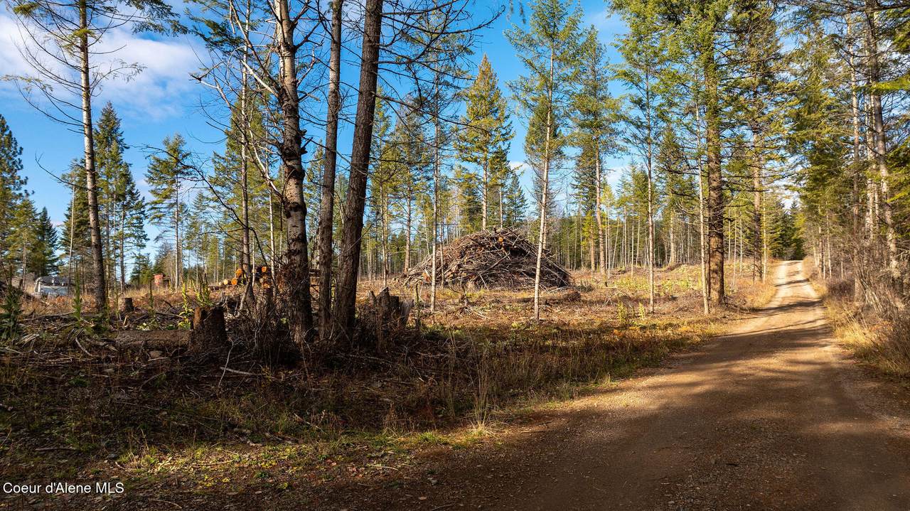 773 Cougar Loop - Photo 1