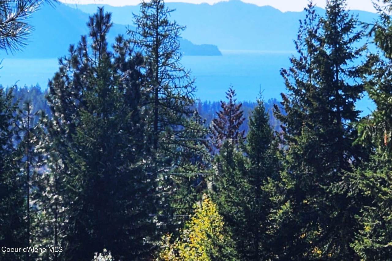 NKA Enchanted Forest (Lot 3) Ln - Photo 1