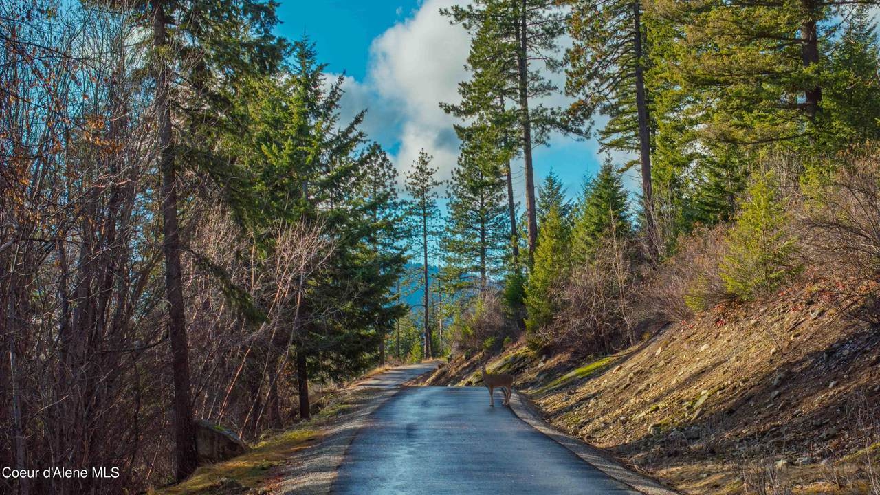 NNA 20.83Acs Destiny Ln - Photo 1