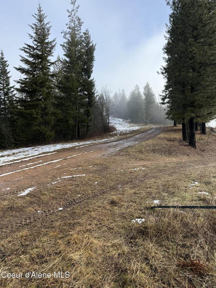 11 & 13 Kingston Way - Photo 1