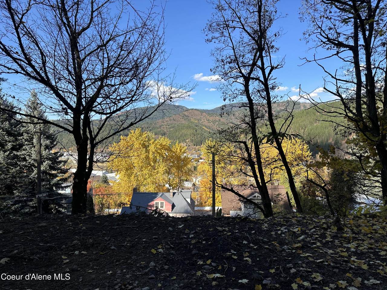 NKA Presley Ave. - Photo 1