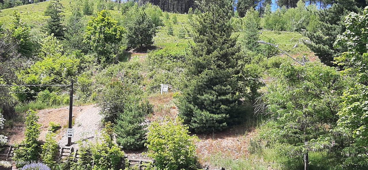  Upper 3rd St - Photo 1