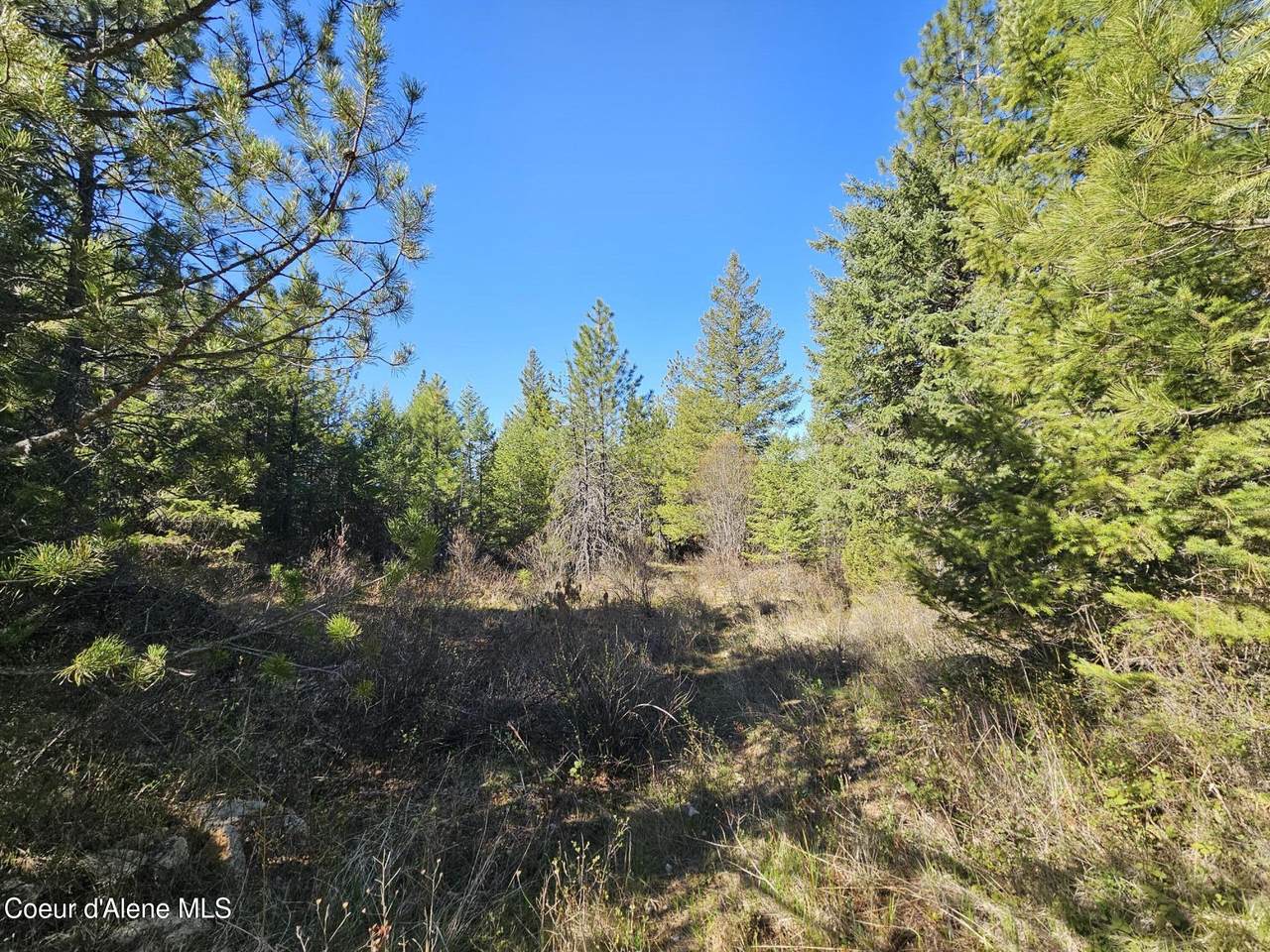 NNA Sunset Hill Rd - Photo 1