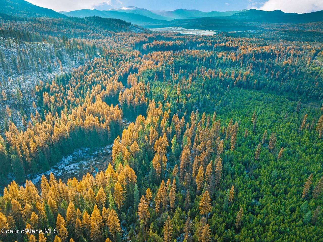 Lot 3 Reeder Bay Road - Photo 1