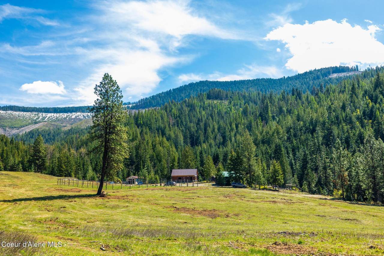 20308 Canary Creek Road - Photo 1