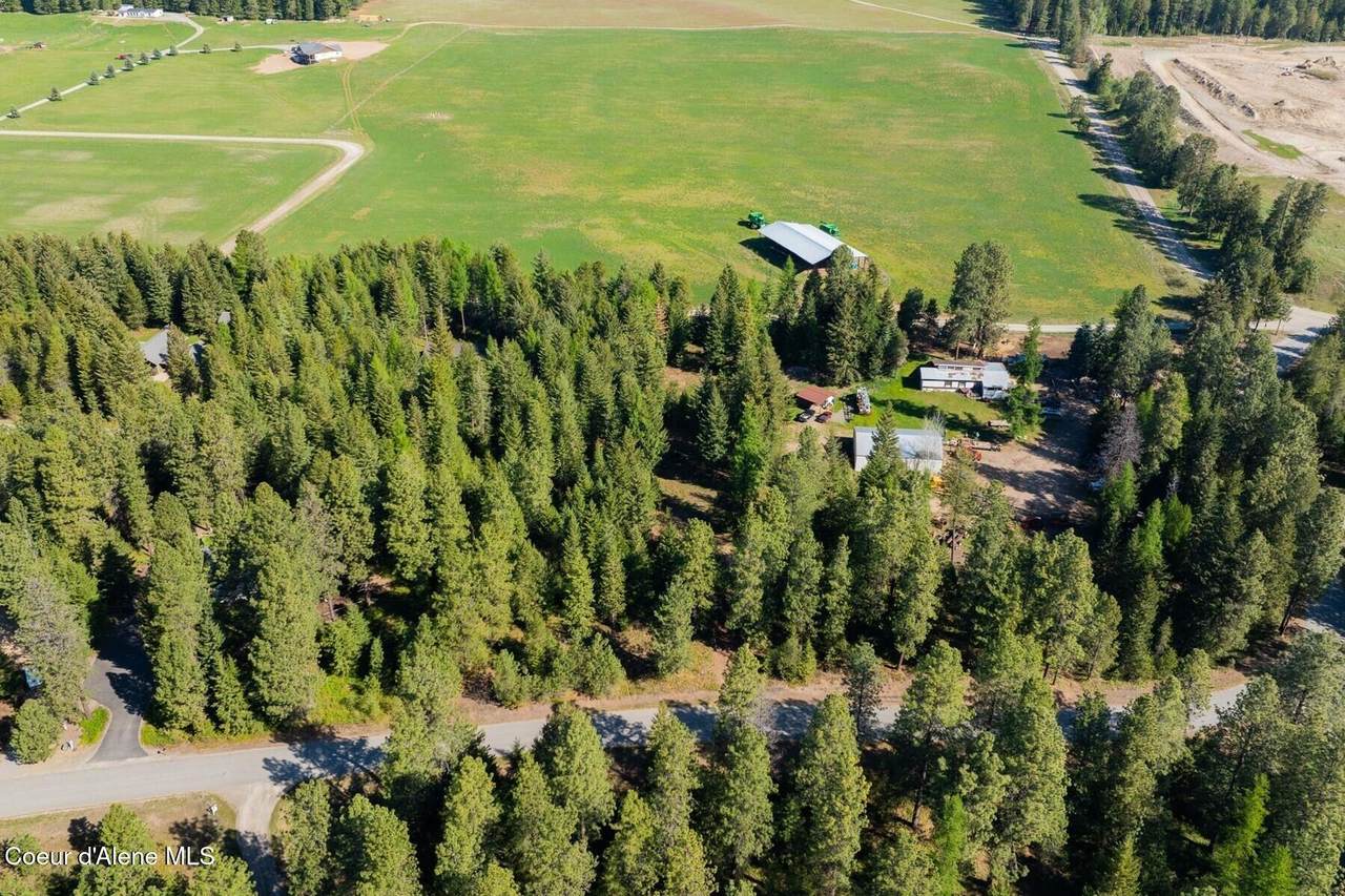 165 Chokecherry - Photo 1