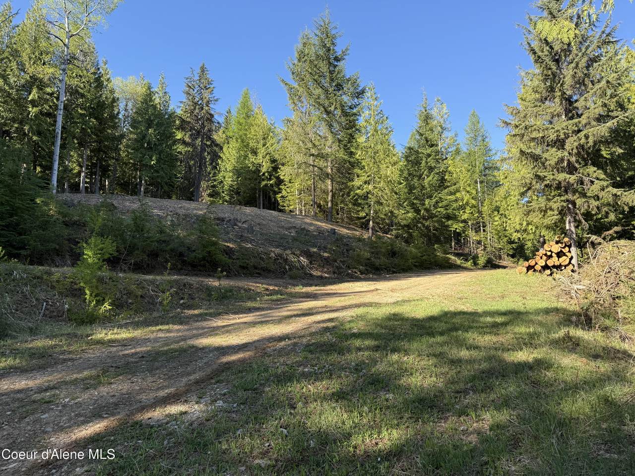 Lot 3 Moose Mountain Lane - Photo 1