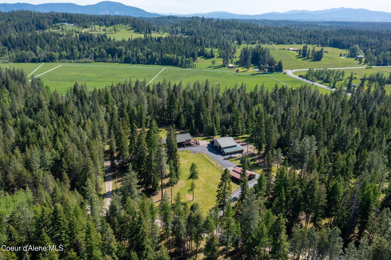 4684 Wildlife Trl - Photo 1