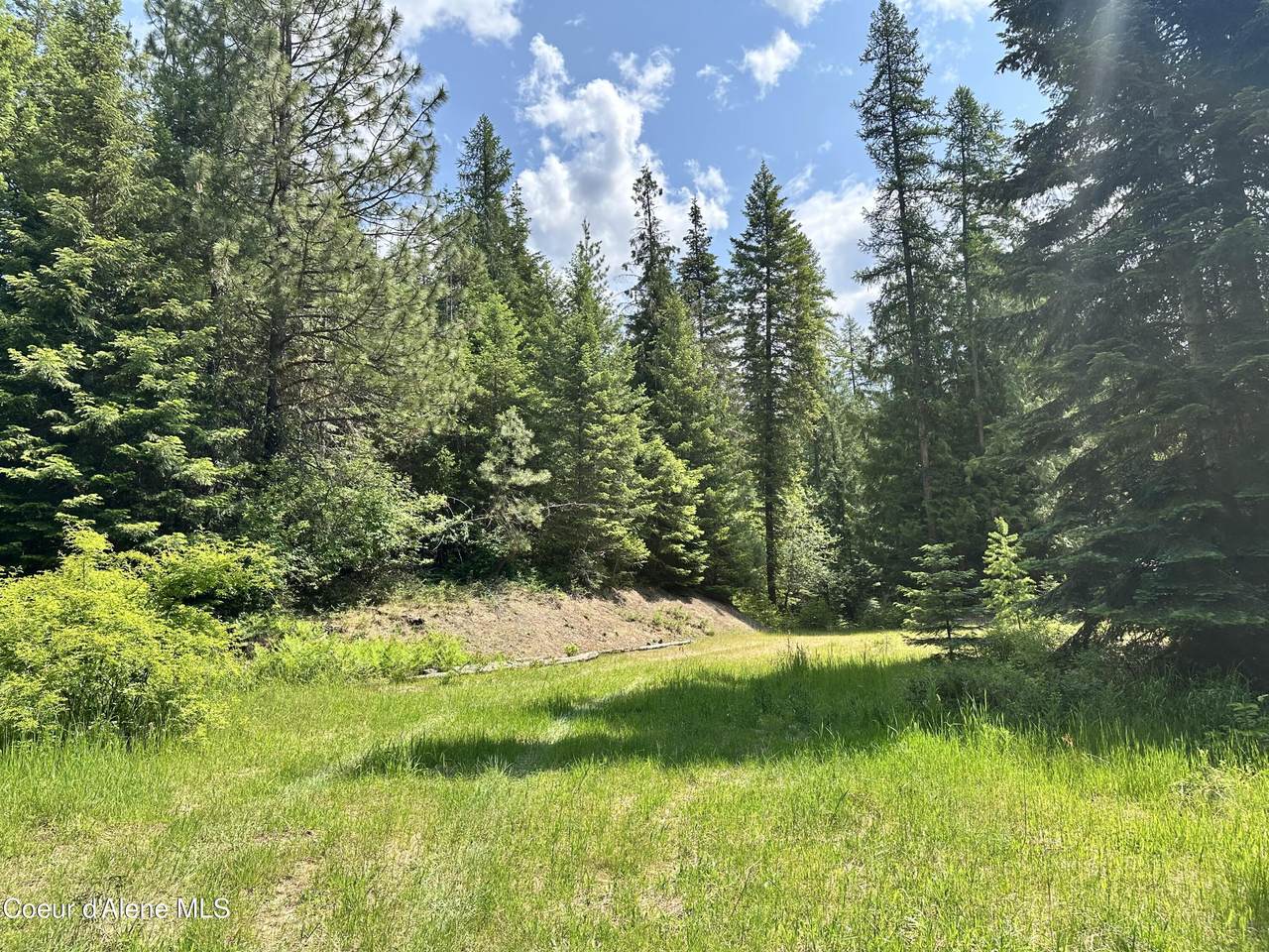 3232 Hells Gulch Rd - Photo 1