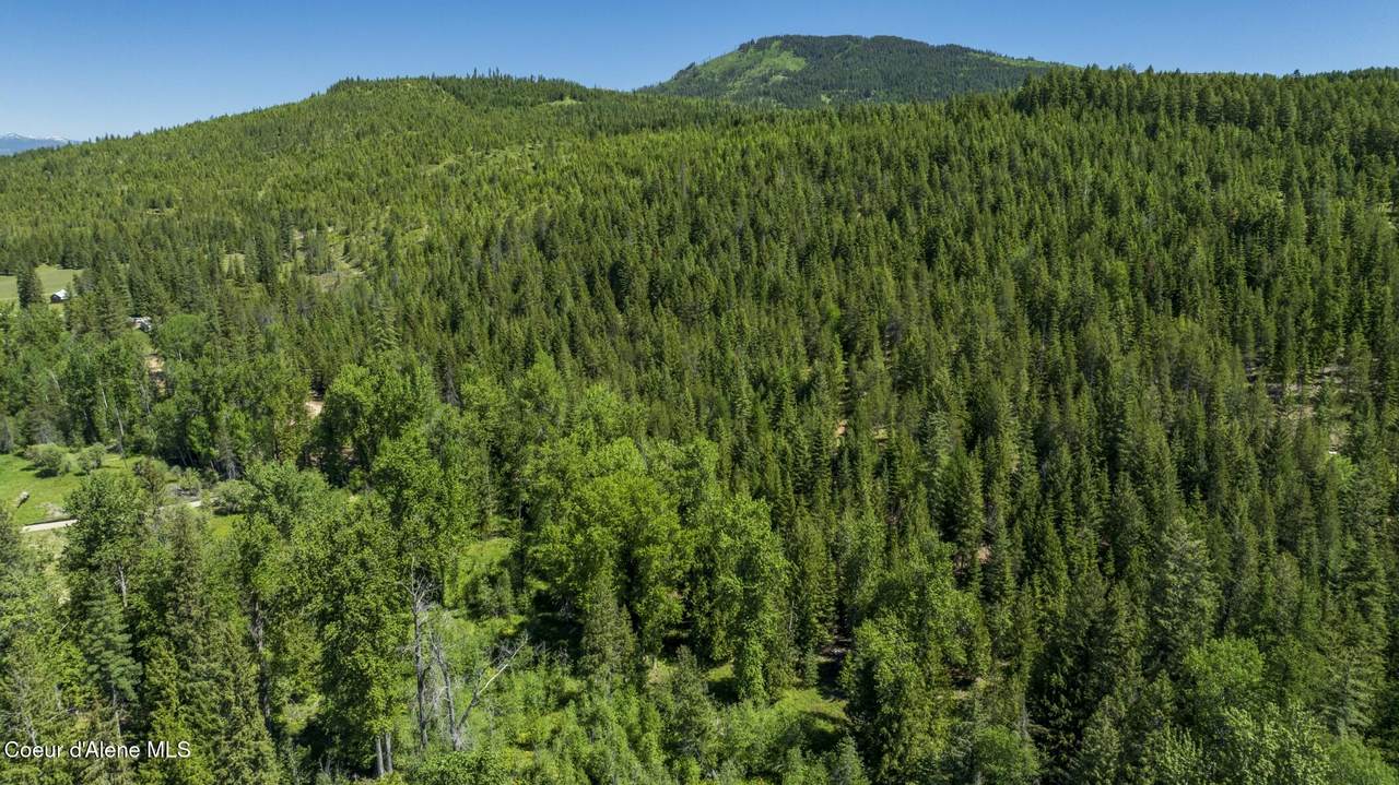 TBD Kreiger Creek Rd Lot 2 - Photo 1