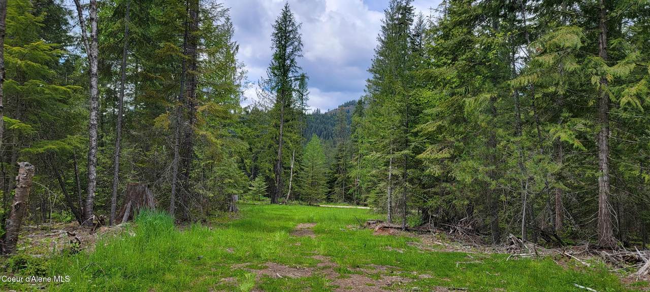 NNA Pup Paw Trail - North - Photo 1