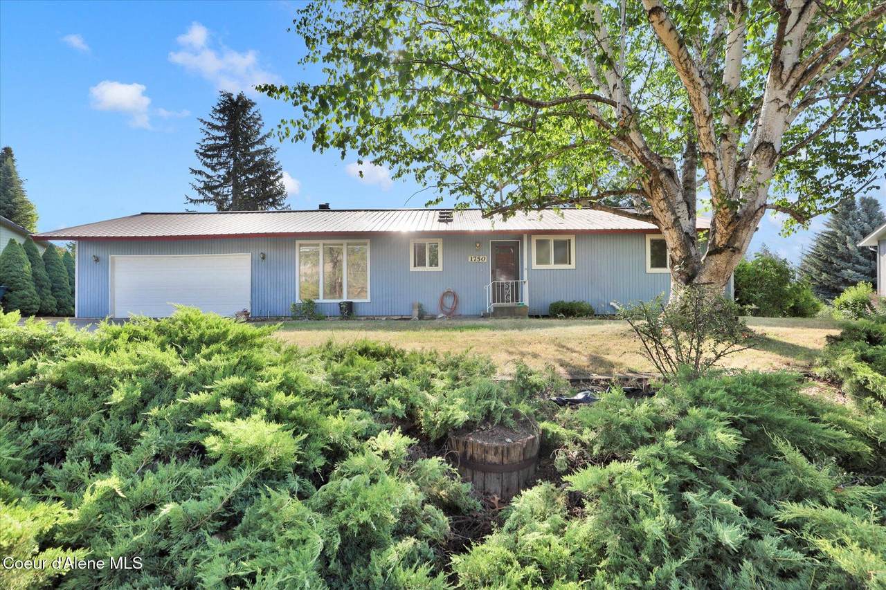 1750 Havichur Loop - Photo 1