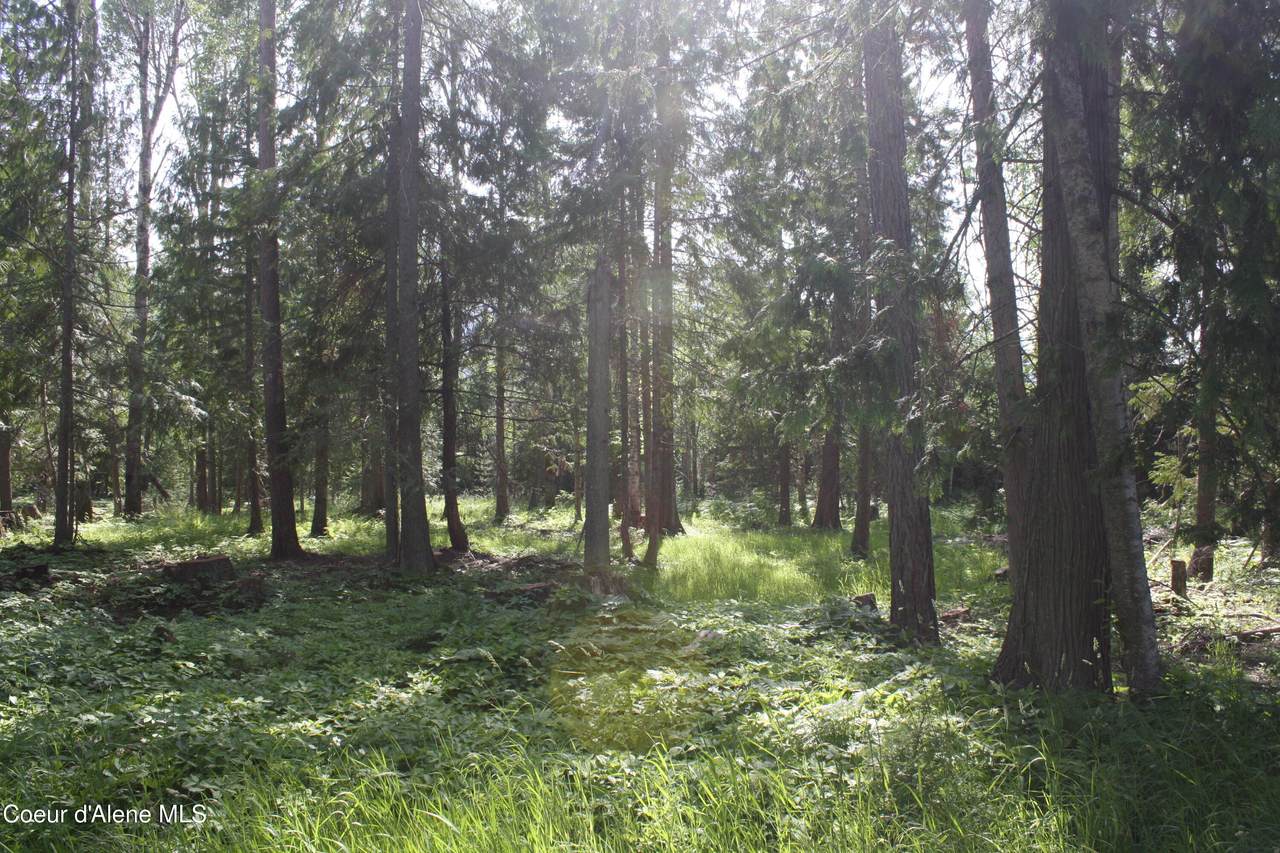 Lot 3 Riverlake Drive - Photo 1