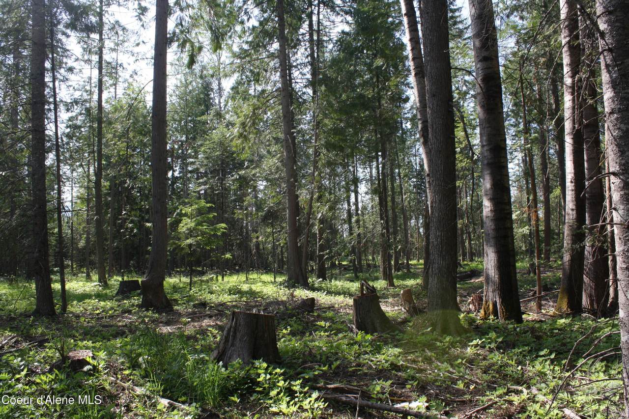 Lot 4 Riverlake Drive - Photo 1