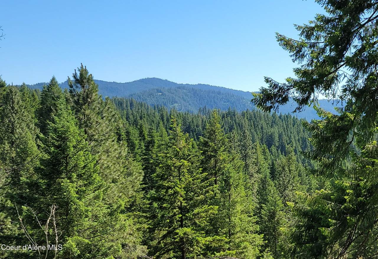 NNA S. Bobsled Trail - Photo 1