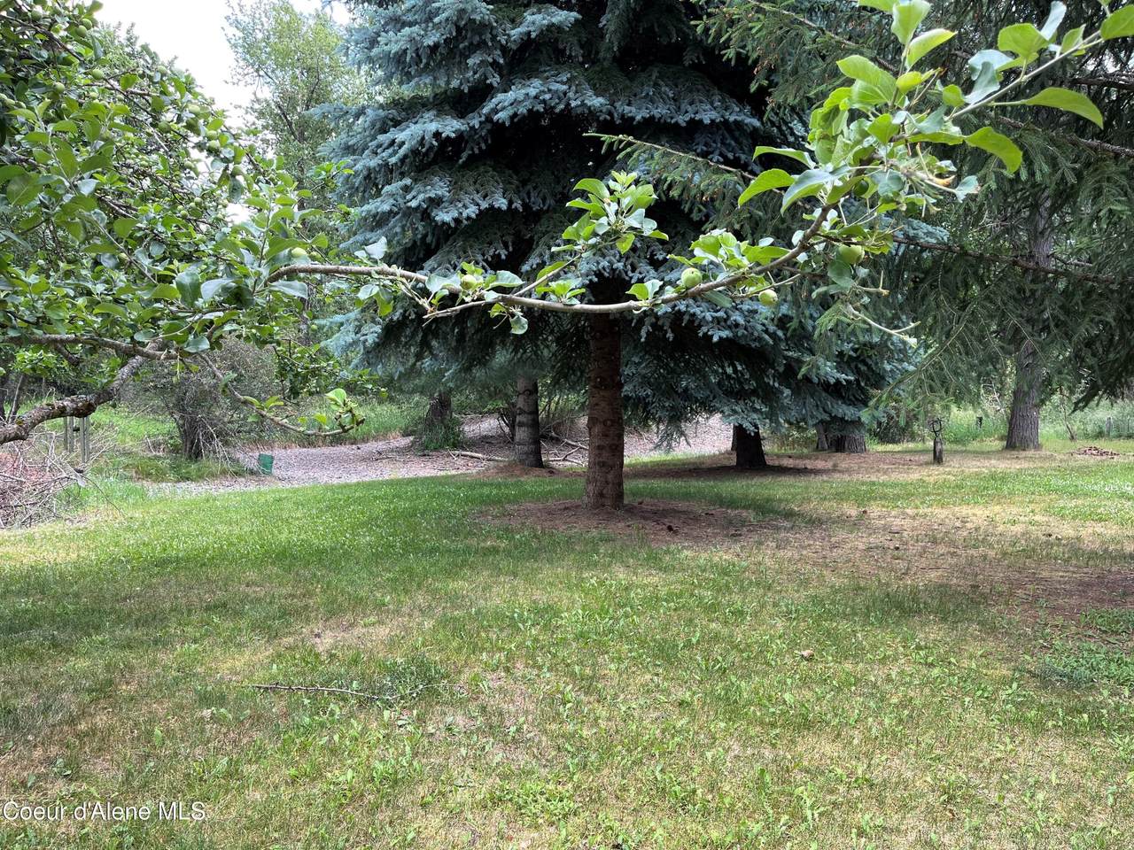 13610 Cataldo Dr - Photo 1
