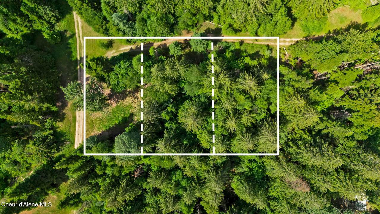 Lot 1 Kokanee Ave - Photo 1