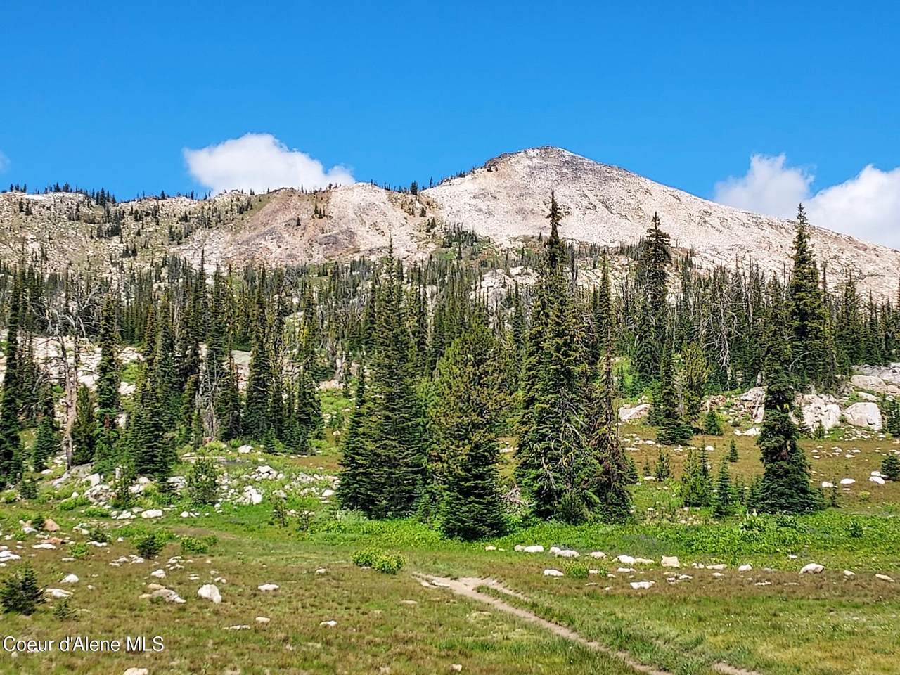  Crooked River Road - Photo 1