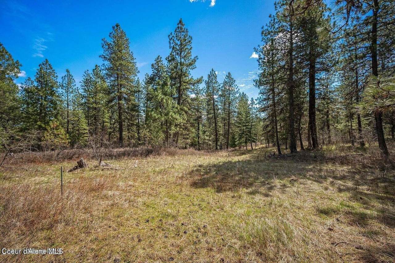 NKA Sunmeadow Rd - Photo 1