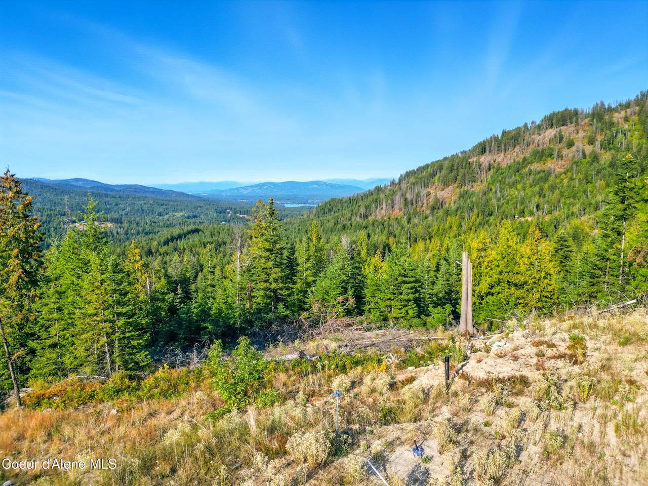 NNA Orion 20Acres Dr - Photo 1