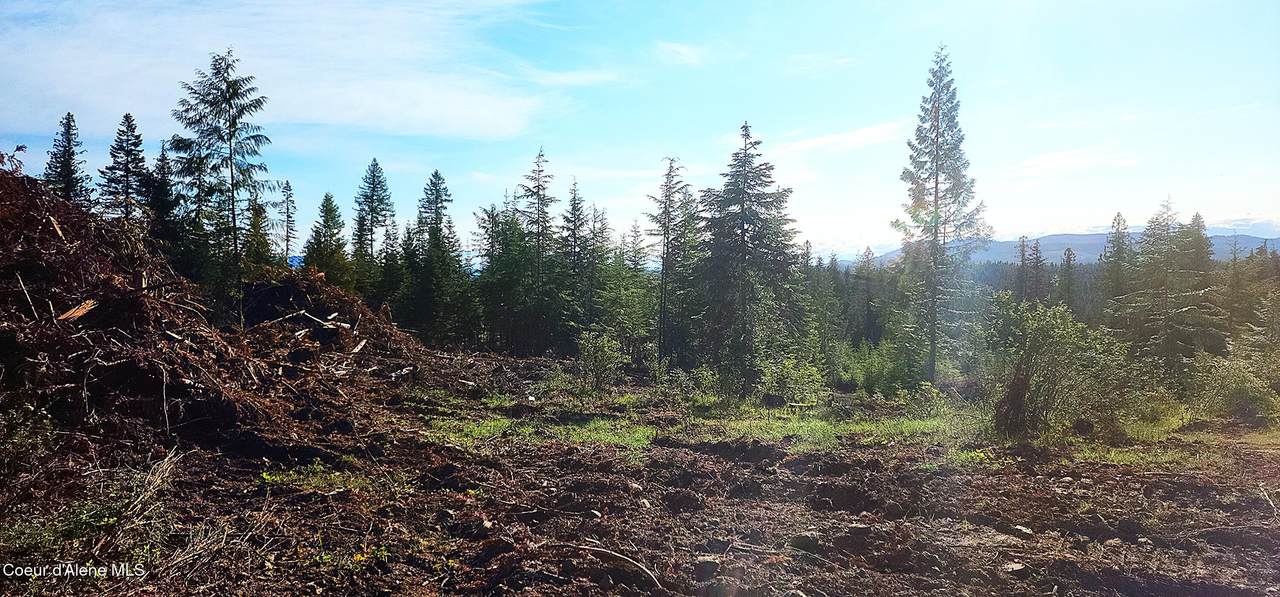 0 Ryan Loop - Photo 1