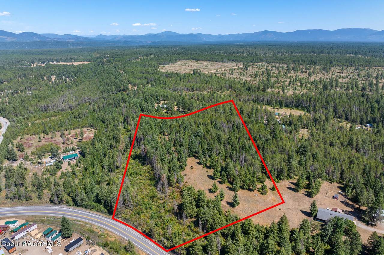  Old Forest Road - Photo 1