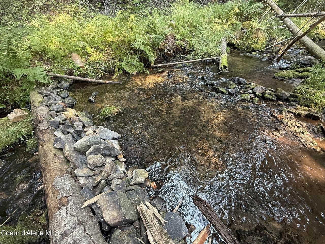 700 White Pine Way - Photo 1