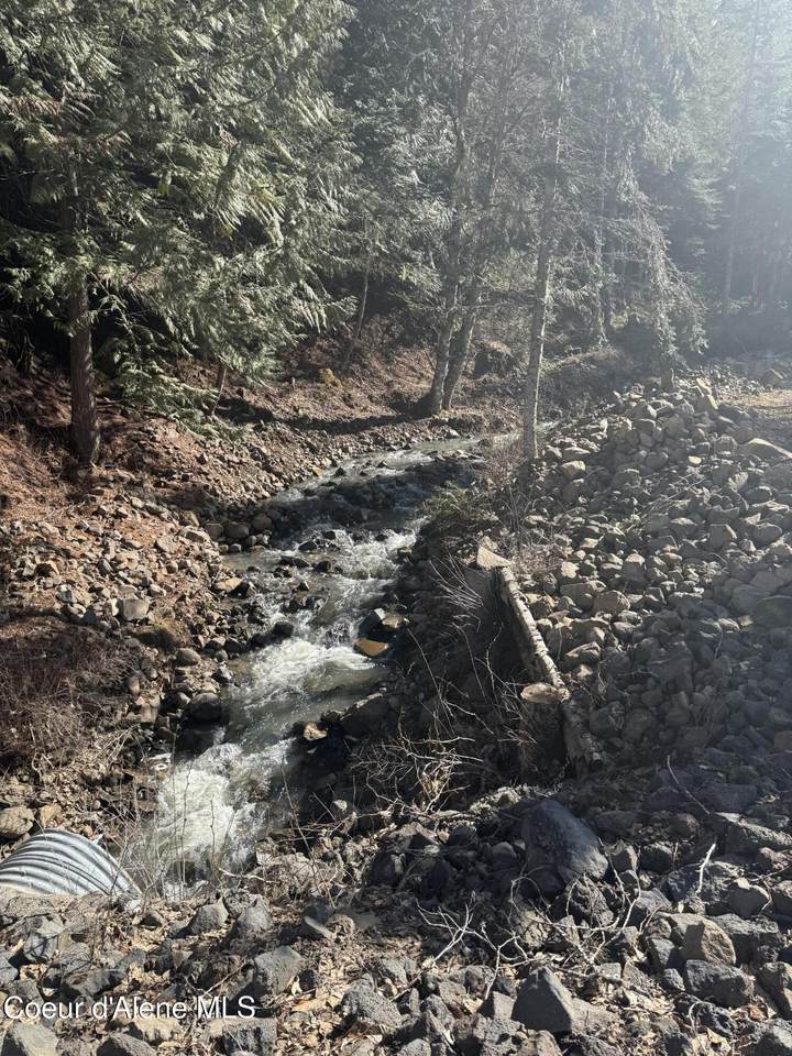  Flying Eagle Lot 19 - Photo 1