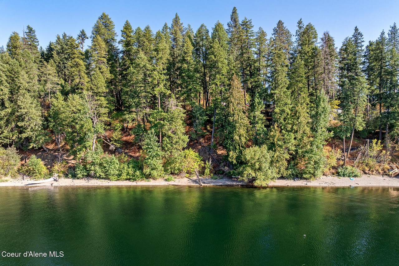  Osprey Road - Photo 1