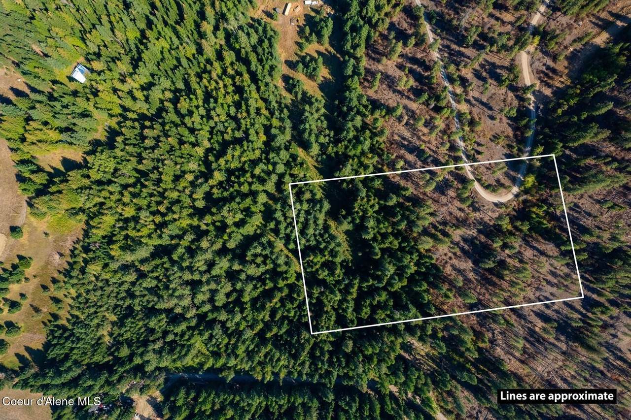 Lot 2A Moose Mountain Rd - Photo 1