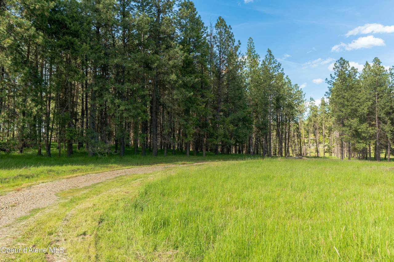  Highway 97 - Photo 1