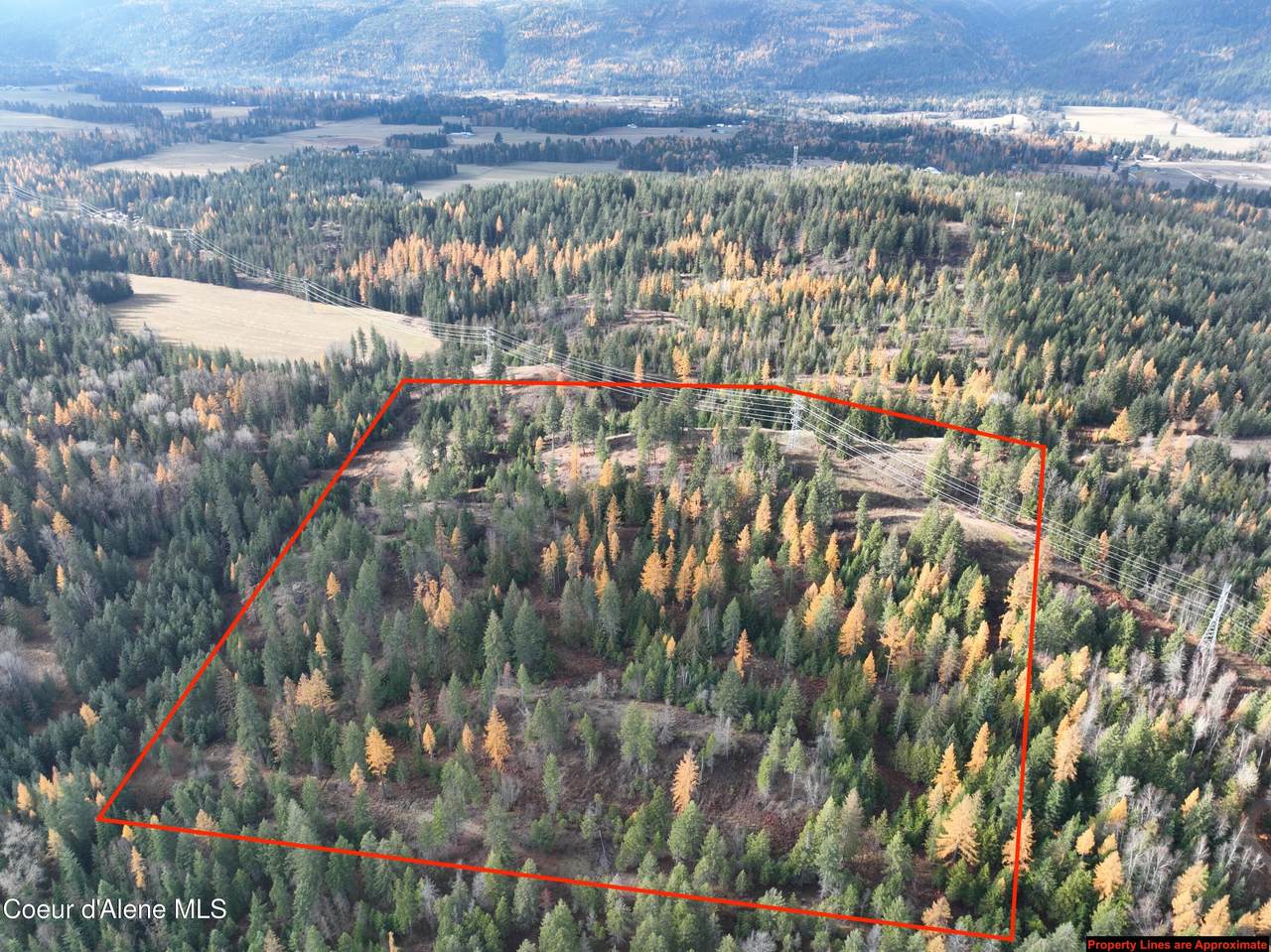 NKA Snowberry Lane - Photo 1