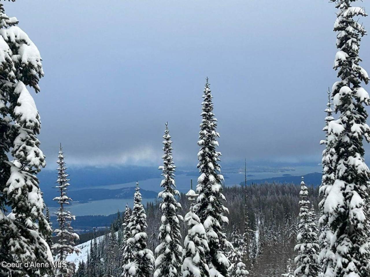 L3 B2 Tall Timber - Photo 1