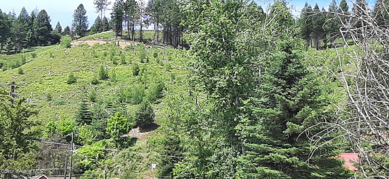  Upper 3rd St - Photo 1