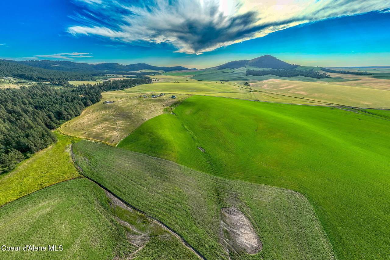 783 Old Mills Rd - Photo 1